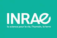 Inrae